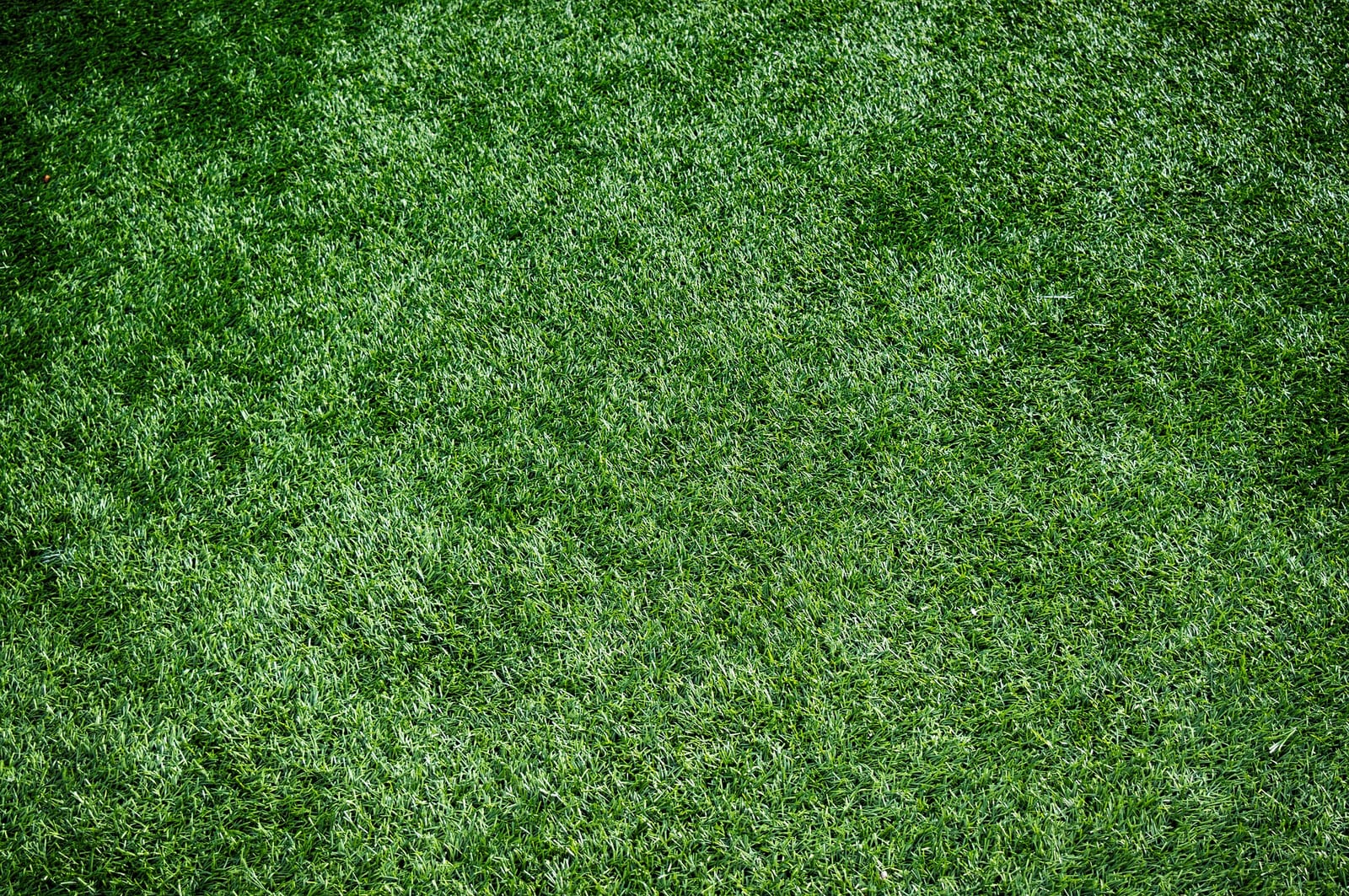 Artificial grass detail
