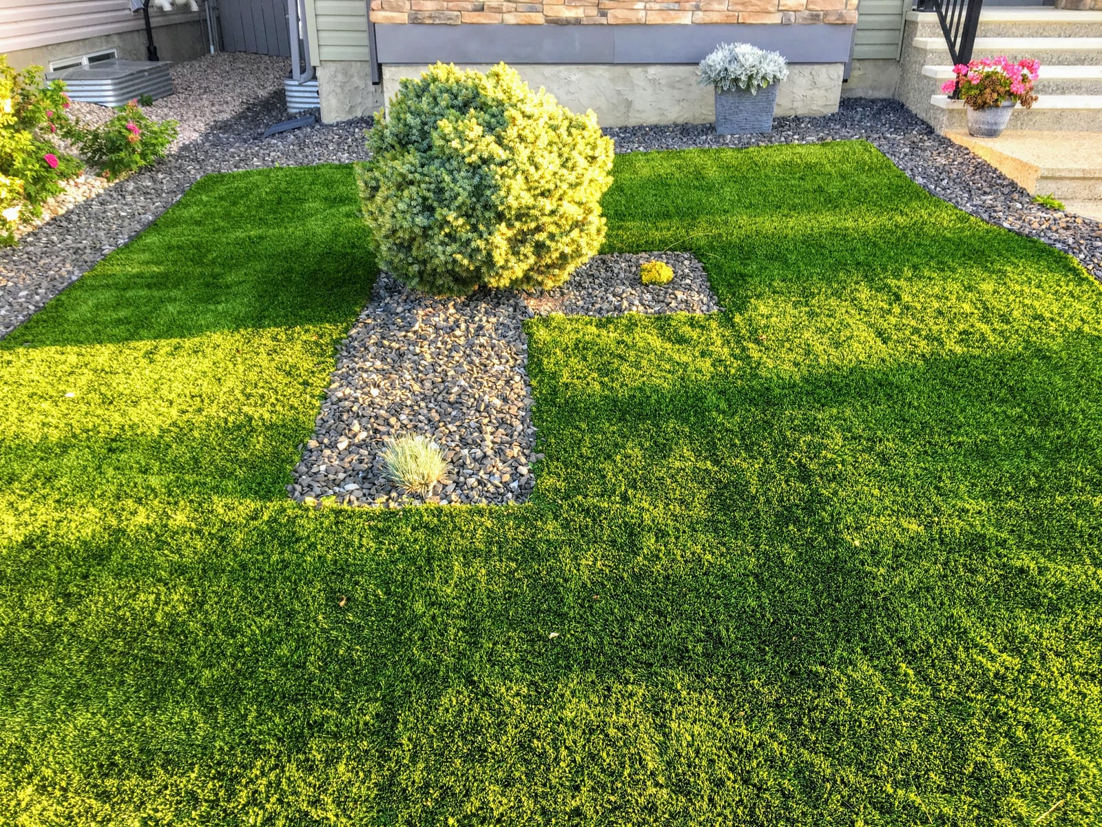 Topiary gravel garden