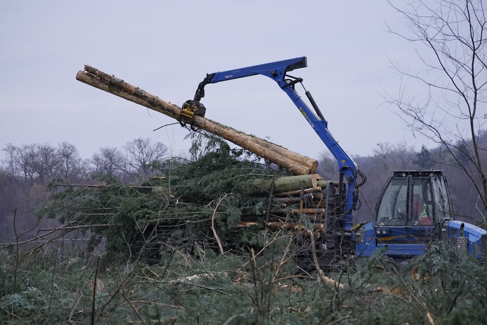 Site clearance